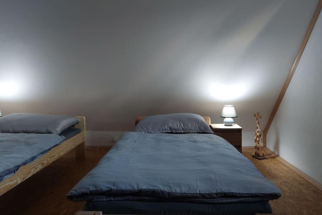 Klasicky Dum, 5 Loznic , 5 Bedrooms, Tatil Evi Prag